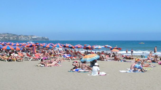 canaria-1-1075