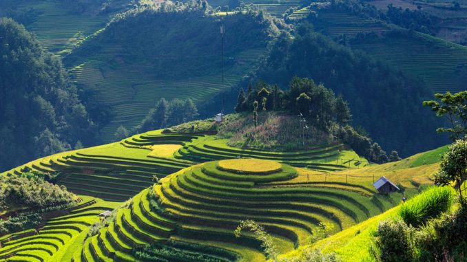 scenery-vietnam-pixabay