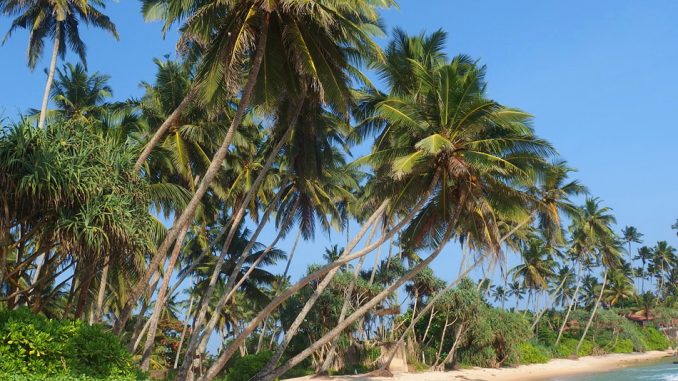 sri-lanka-pixabay