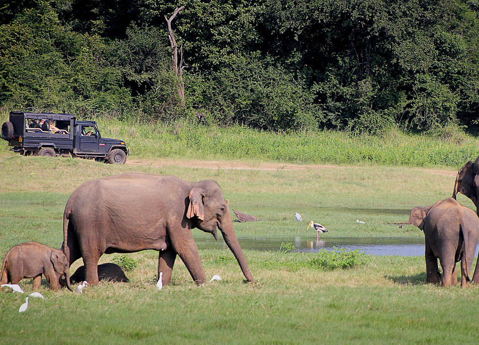 sri lanka guide