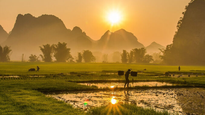 landscape-vietnam-pixabay